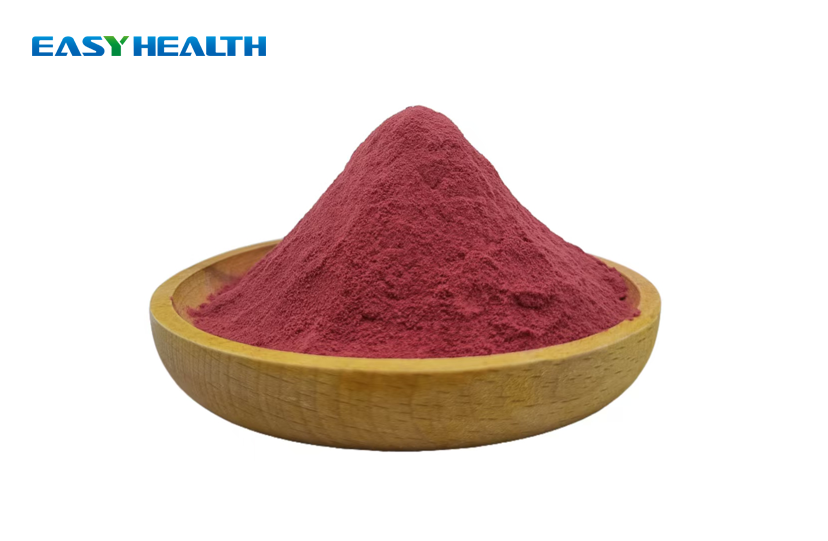 Beet Root Extract Powder